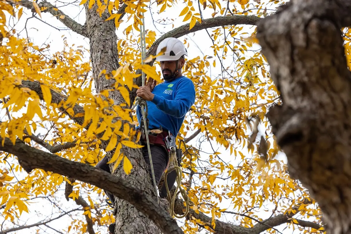 Skilled Storm Damage Cleanup crew working in Oshkosh