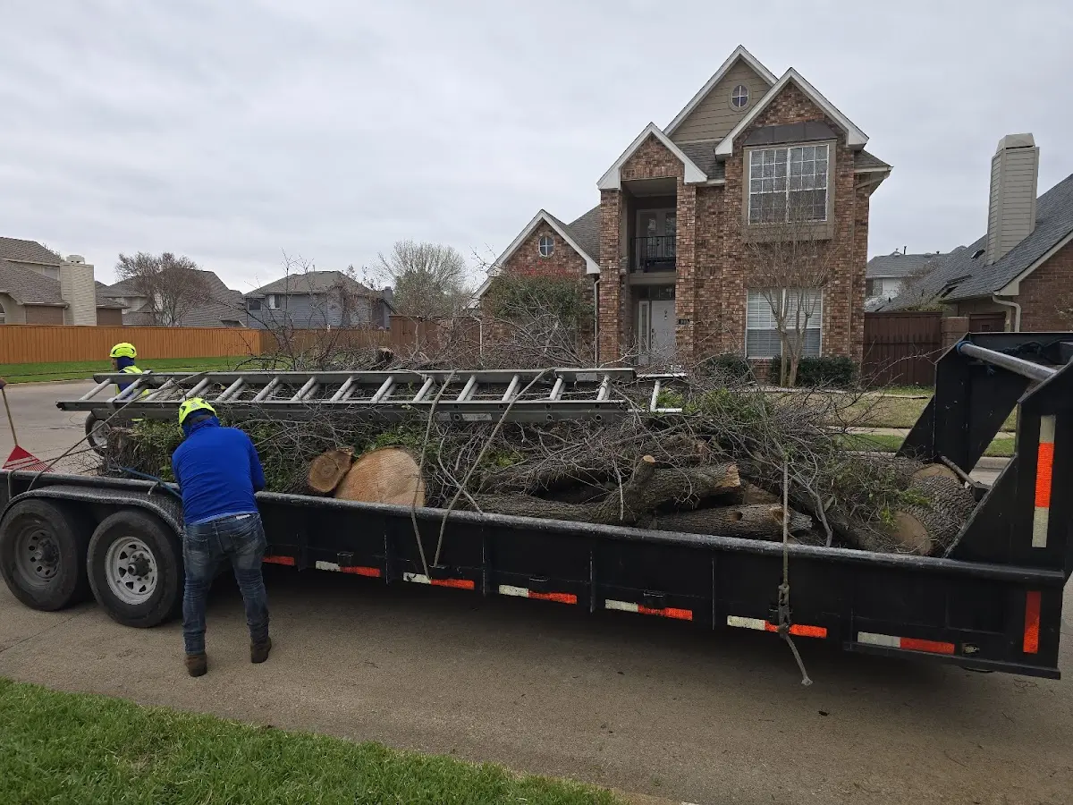 Expert Lot Clearing with proper safety equipment in Oshkosh